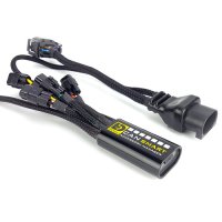 (imagen para) DENALI CANsmart Controlador de Accesorios GEN II - BMW "K1600" (F750/850, S1000XR)