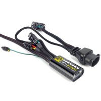 (imagen para) DENALI CANsmart Controlador de Accesorios GEN II - BMW "F800" (F650/700/800)