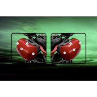 (image for) "Eazi Guard" Stone Chip Pannier Protection Kit - BMW F900XR 2020 onwards