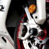 (image for) Fork Protectors APEX - QJ Motor SRK 921 (RR) 2025+