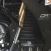 (image for) Radiator Guard (black) - Triumph 675 Daytona 2013 onwards