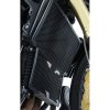 (image for) Radiator Guard - Triumph Speed Triple 2005