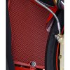 (image for) Radiator Guard - BMW S1000R 2017-2020