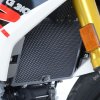 (image for) Radiator Guard - BMW G310R/G310GS 2016+