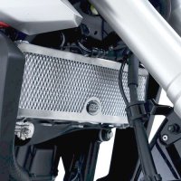 (imagen para) Protector de Radiador - Honda CB125R 2018en adelante
