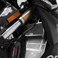 (image for) Radiator Guard - Energica EGO (+/RS), Eva Ribelle (RS), Eva ESSEESSE9(+) 2021 onwards