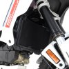 (image for) Radiator Guard - Ducati DesertX 2022 onwards