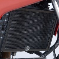 (imagen para) Protectores de Radiadores de RG Racing