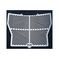 (image for) Radiator Guard (stainless) - BMW S1000R 2014-2016