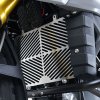 (imagen para) Protector de Radiador (inoxidable) - BMW G 310 R 2017 en adelante