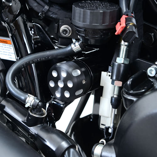 (image for) Frame Tidy (bolt cover) RHS - Harley-Davidson Street 500/750 2015 onwards